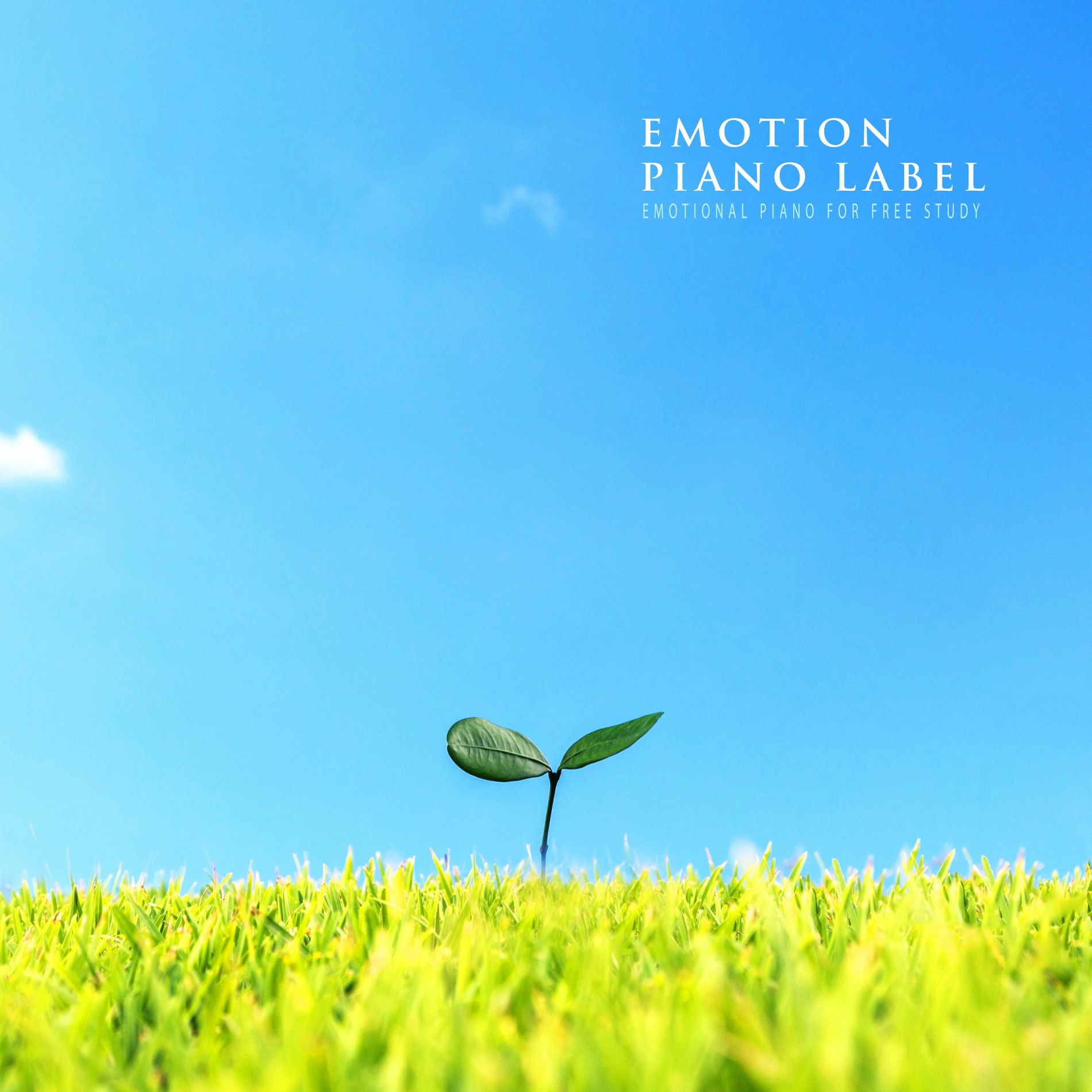 Album cover of Emotional Piano For Free Study