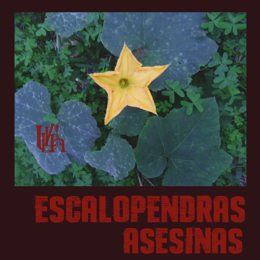 Album artwork for ESCALOPENDRAS ASESINAS by Ullah