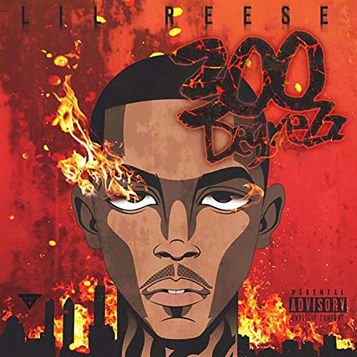 Album cover of 300 DegreZz