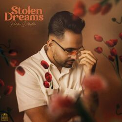 Cover of Stolen Dreams