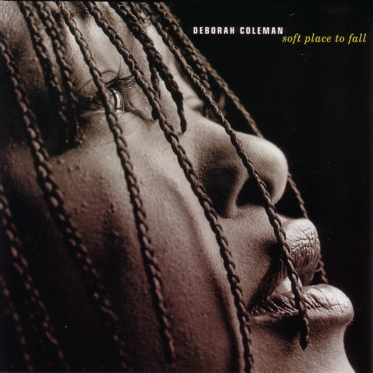 Album cover of Don't Lie To Me
