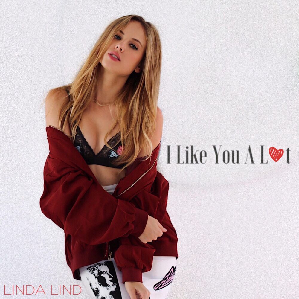 Picture of I Like You a Lot