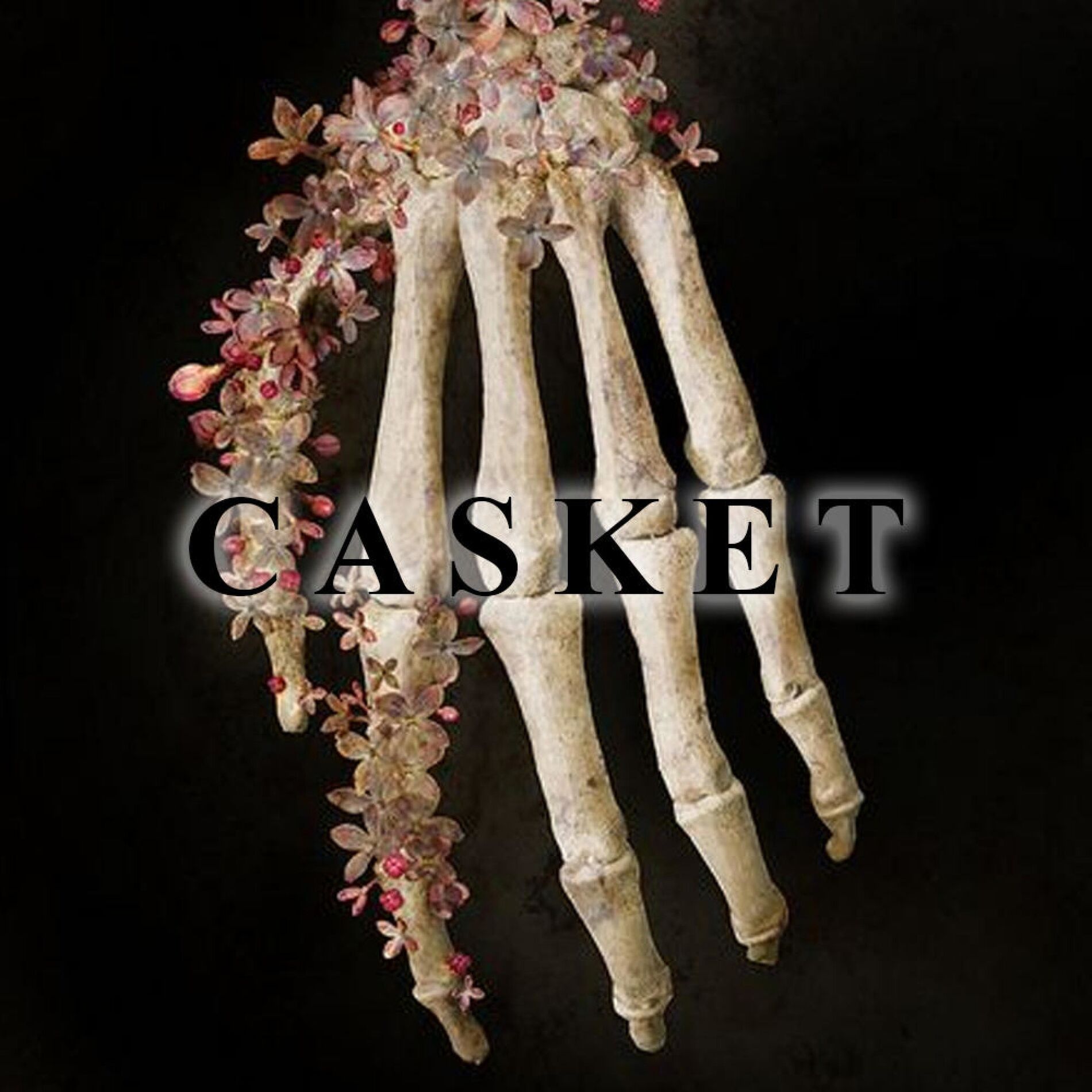 Album cover of Casket