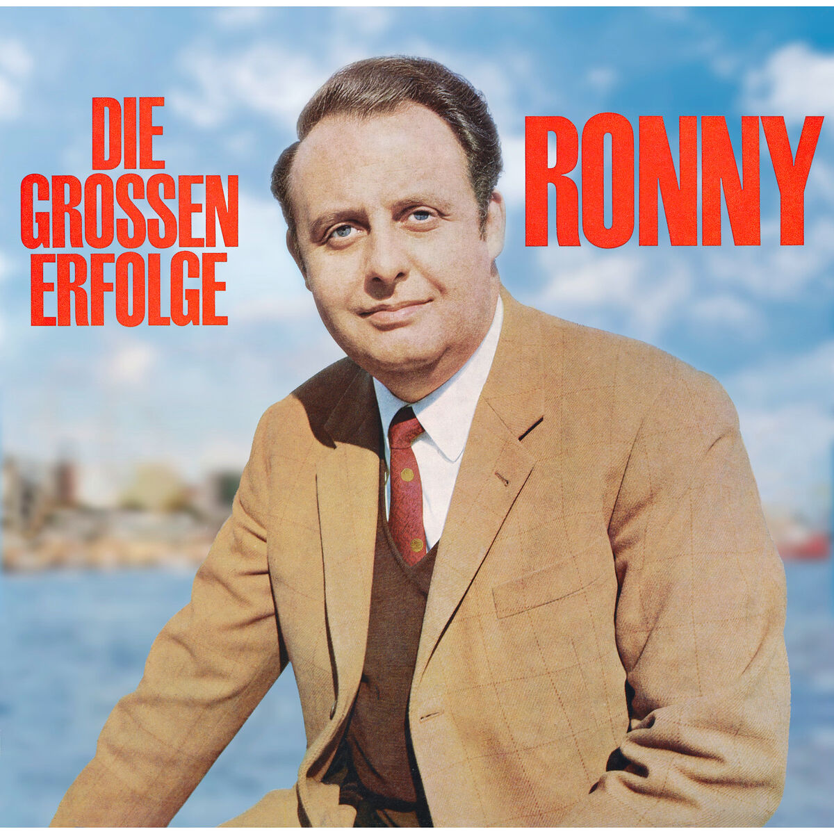 Album cover of Die grossen Erfolge