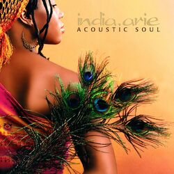 Cover of Acoustic Soul