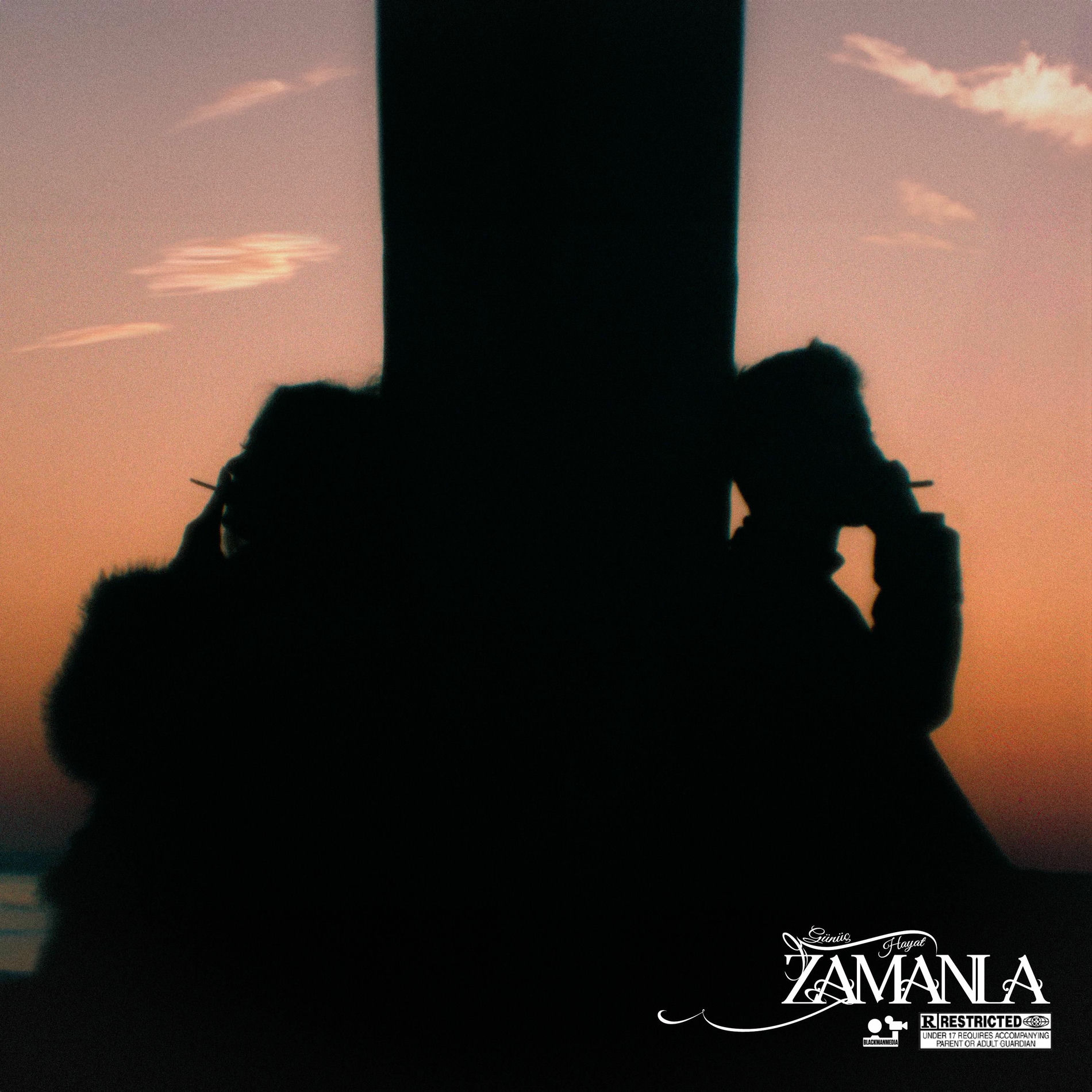 Album cover of Zamanla (feat. Günüç & Hayat)