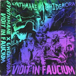 Cover of VIDIT IN FAUCIUM
