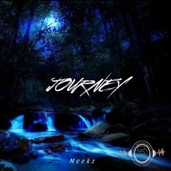 Cover of Journey