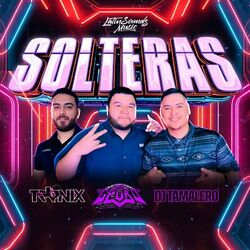 Cover of Solteras