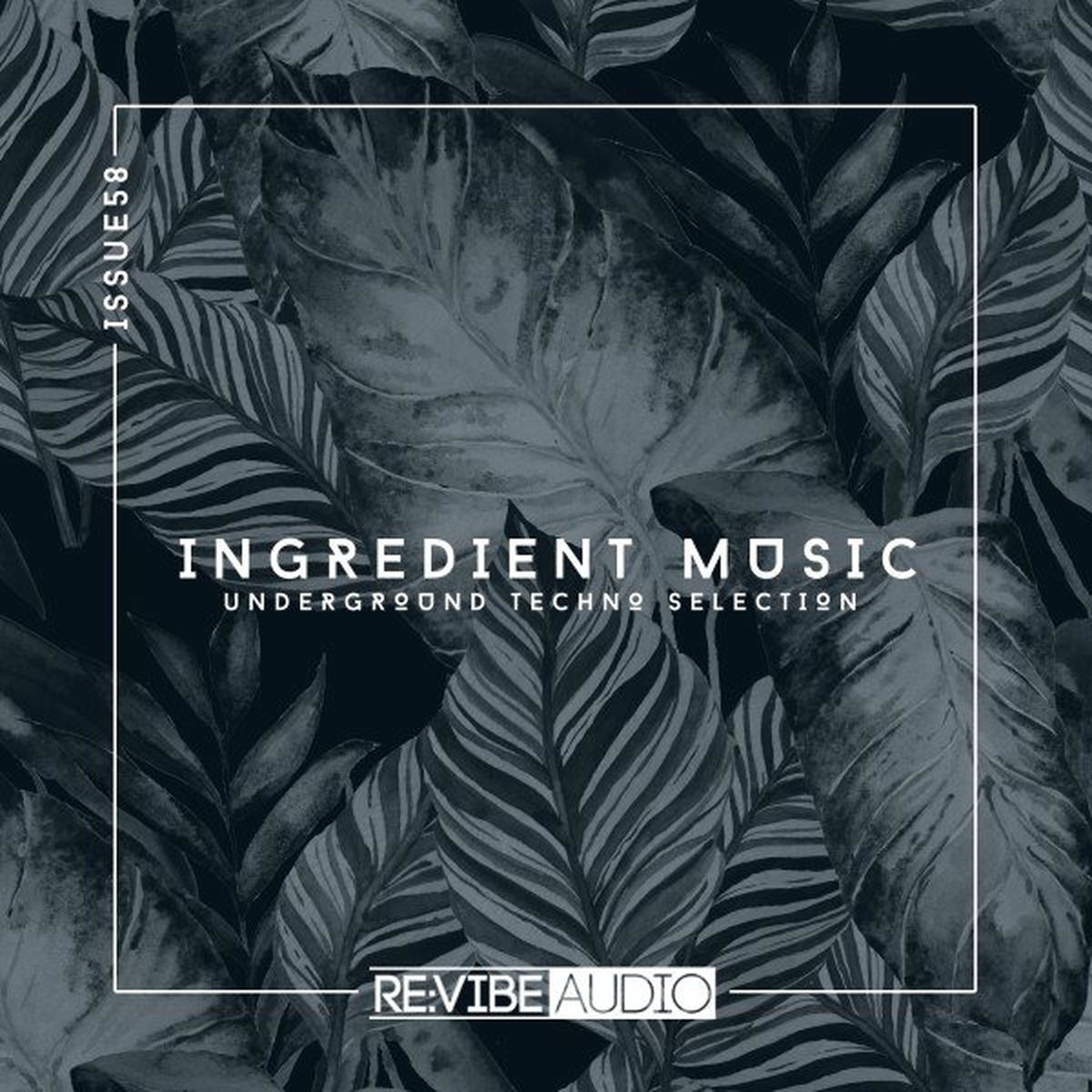 Album cover of Ingredient Music, Vol. 58
