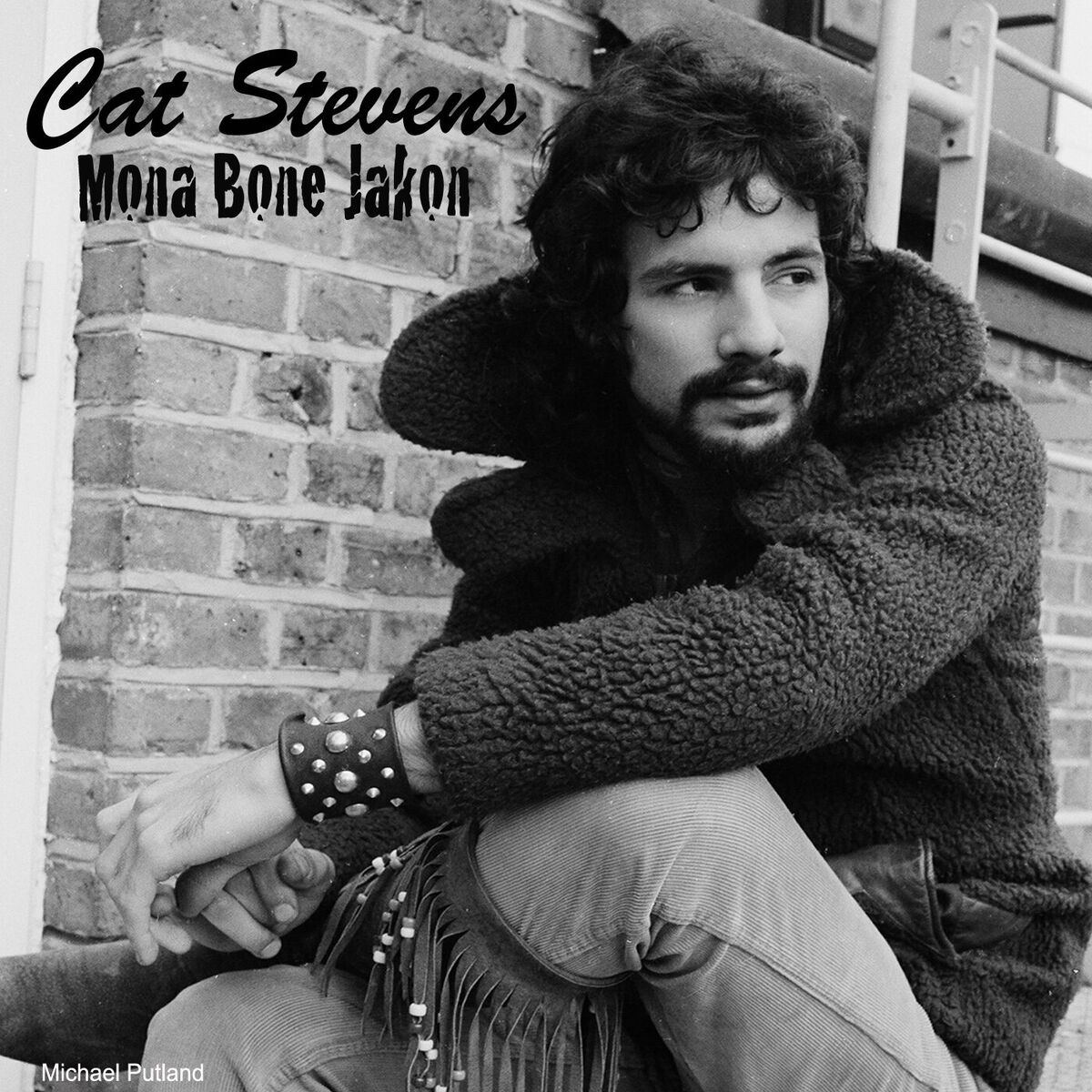 Album cover of Mona Bone Jakon