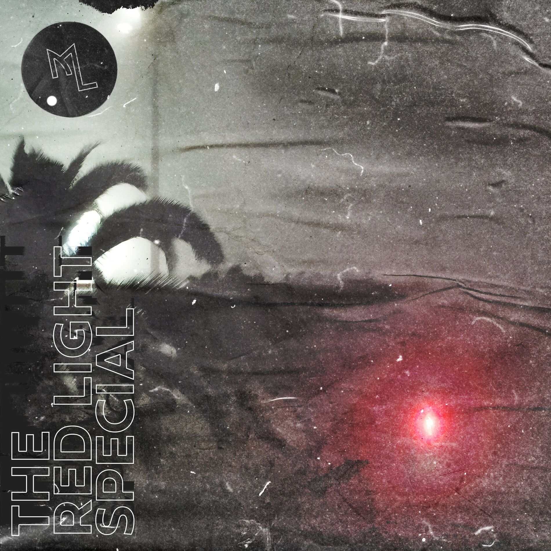 Album cover of The Red Light Special