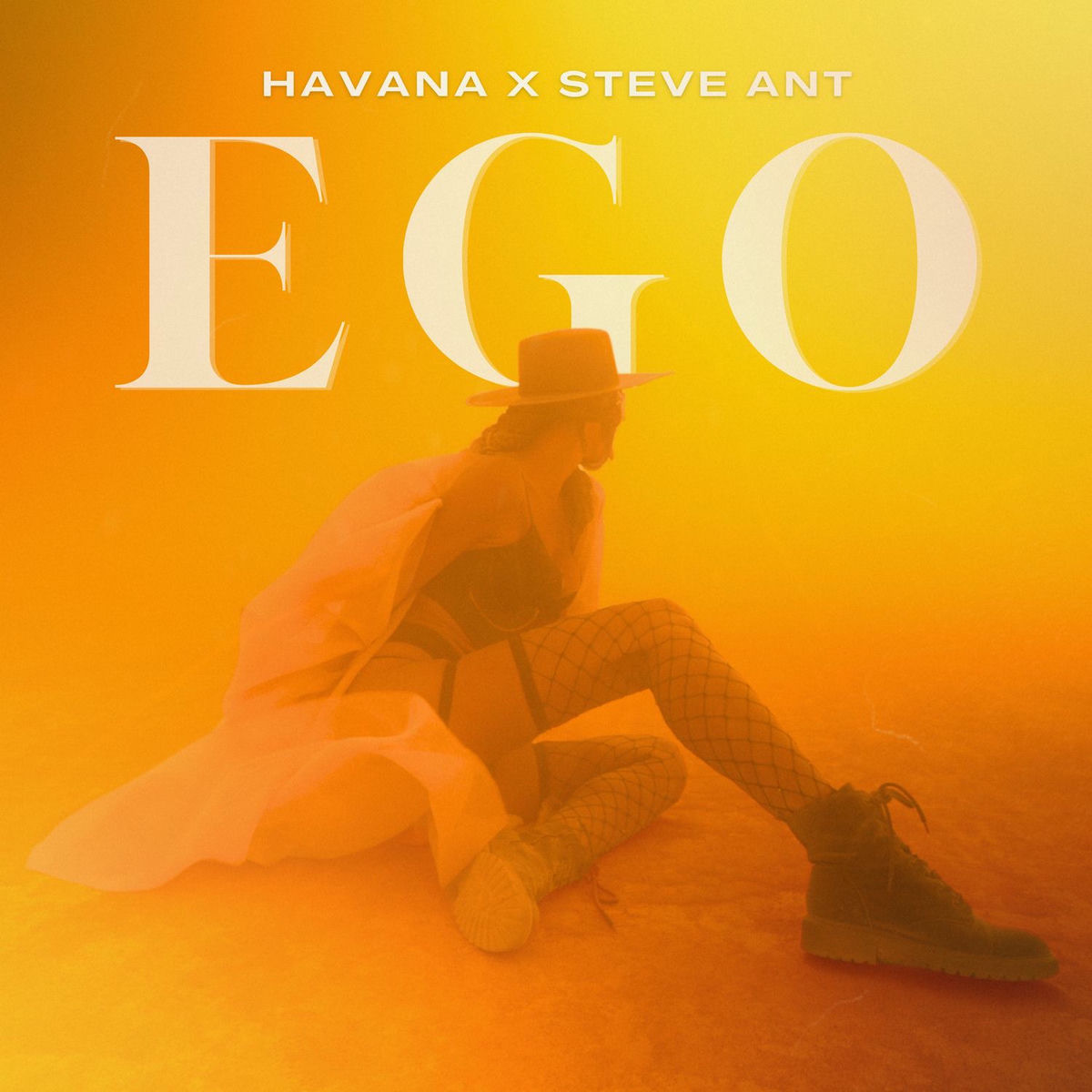 Album cover of Ego