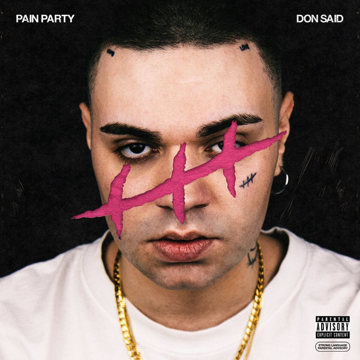 Album cover of PAIN PARTY
