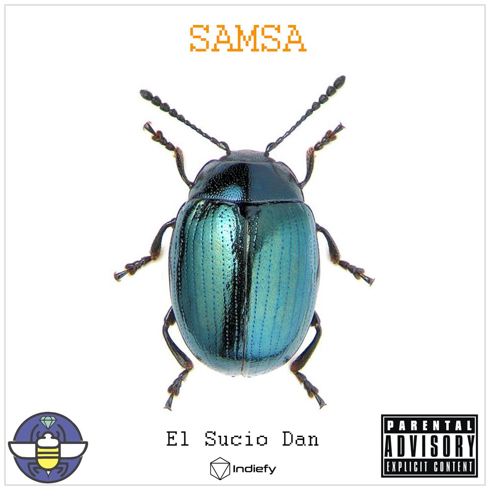 Picture of Samsa