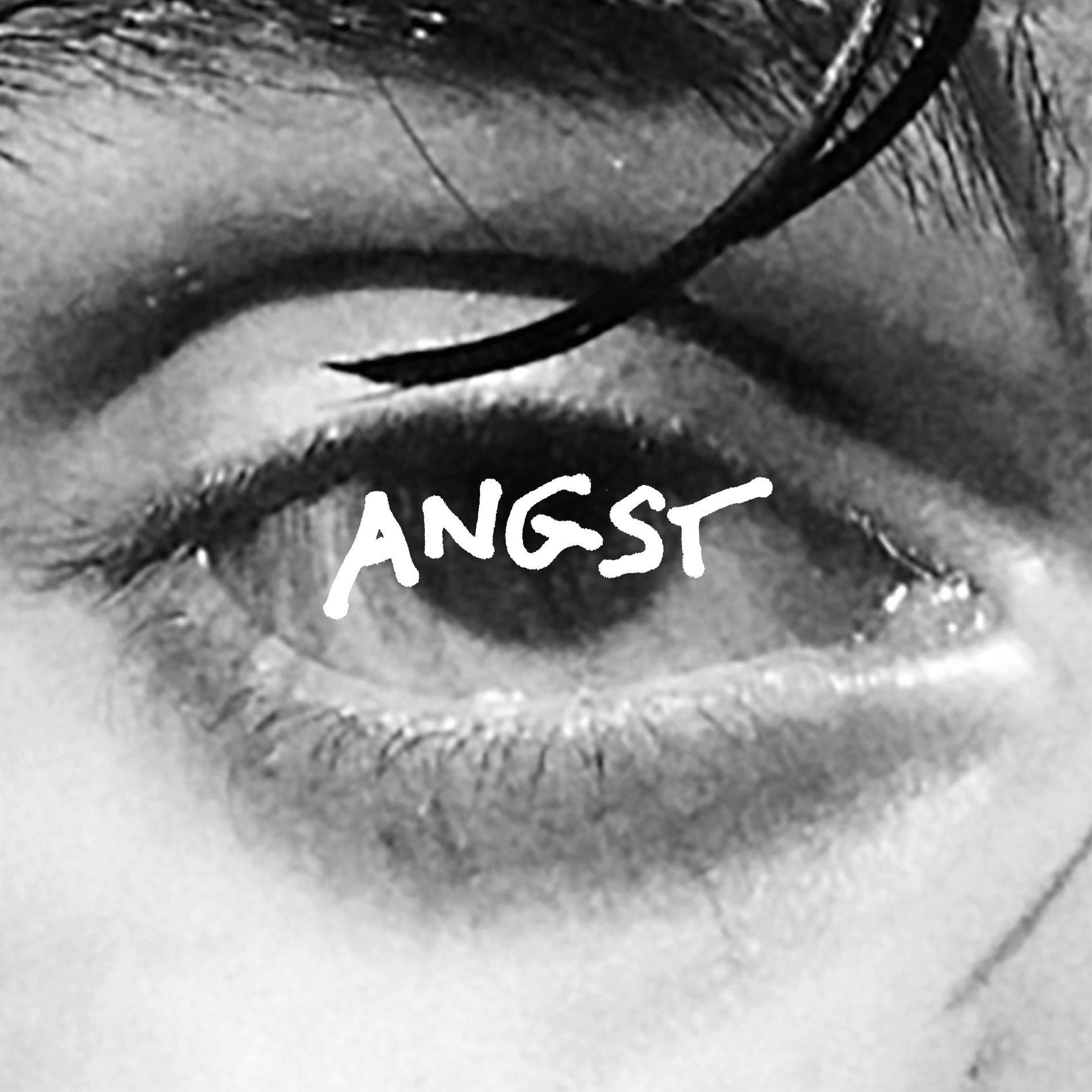 Album cover of Angst