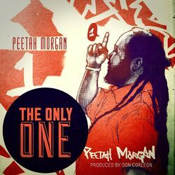 Cover of The Only One