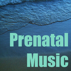 Cover of Prenatal Music