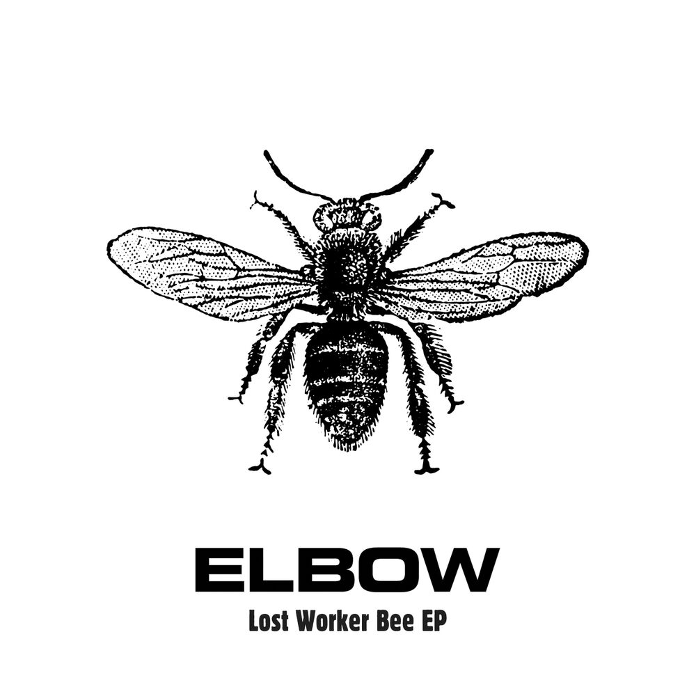 Picture of Lost Worker Bee - EP