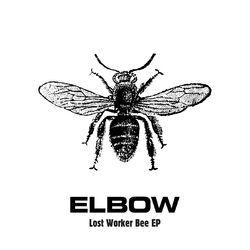 Cover of Lost Worker Bee - EP