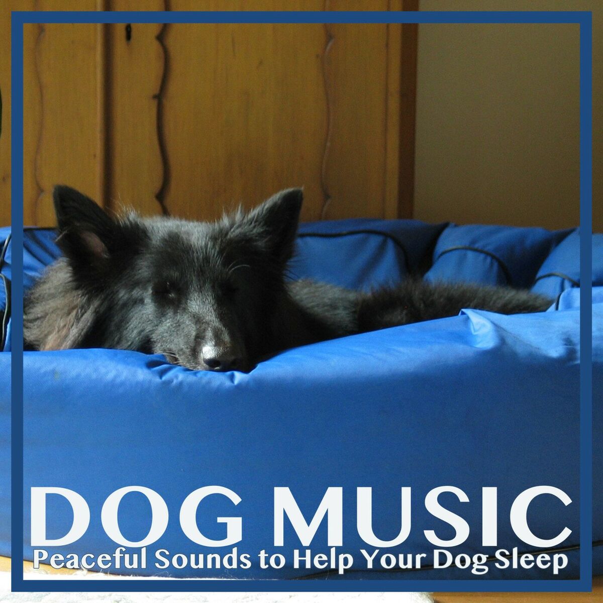 Album cover of Dog Music: Peaceful Sounds to Help Your Dog Sleep