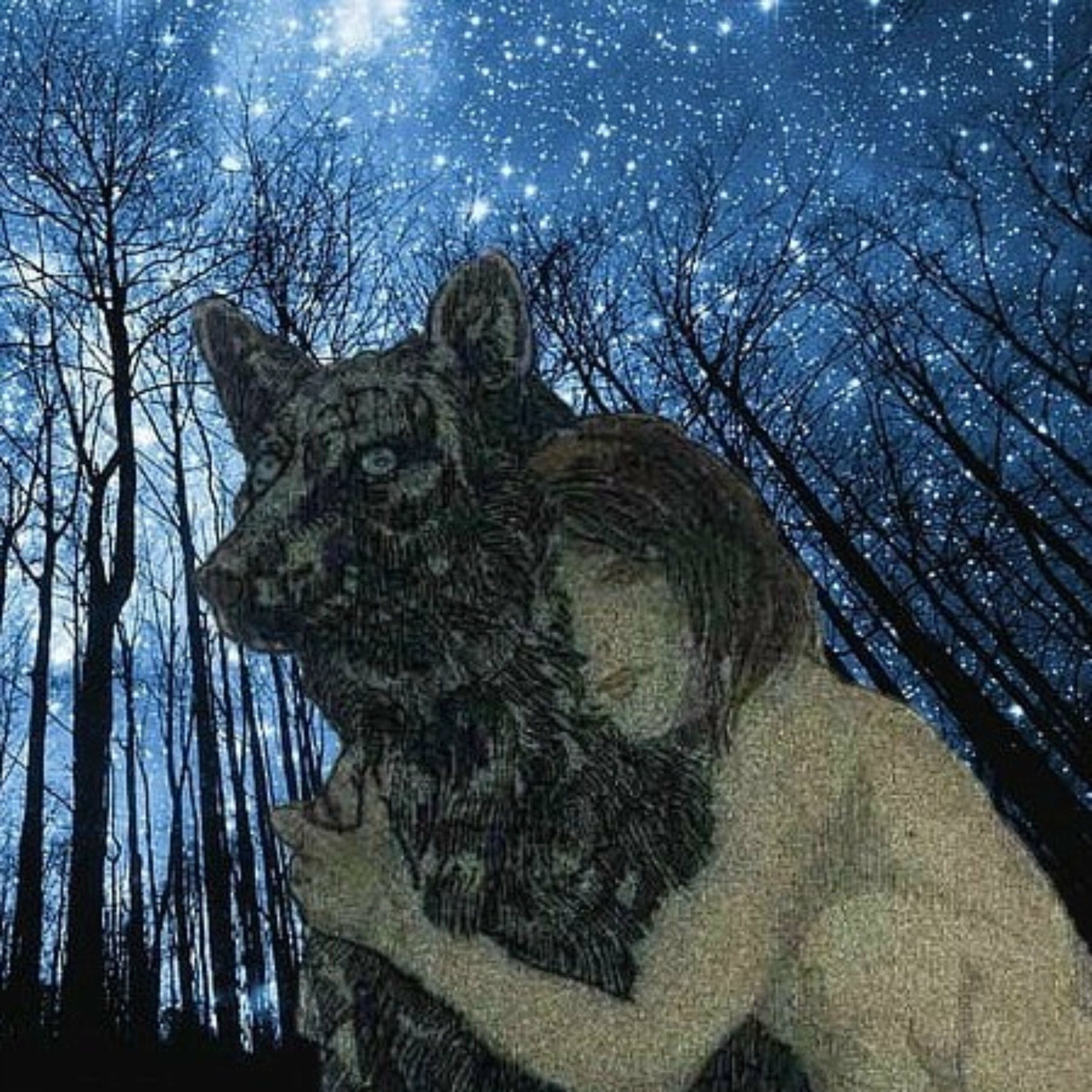 Album cover of Wild Children Stories