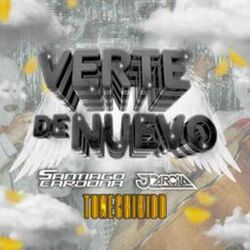 Cover of Verte De Nuevo