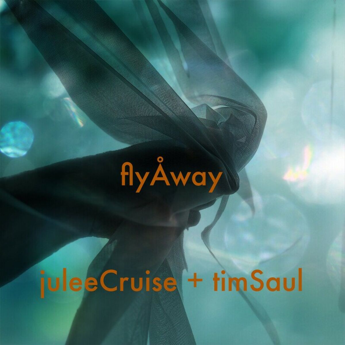Album cover of Fly Away