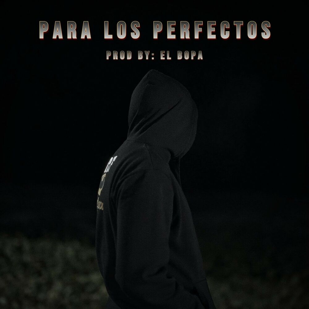 Picture of Para los Perfectos