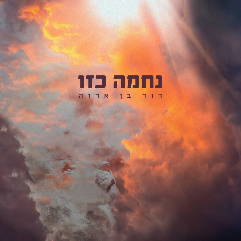 Picture of נחמה כזו