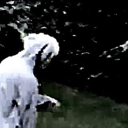 Cover of THE 444 FILES: SUMMON YOUR LOCAL DEMONS
