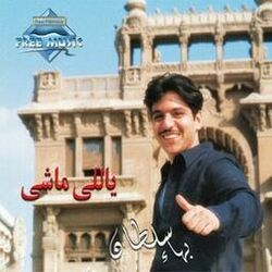 Cover of Yally Mashy