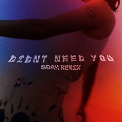 Cover of Didn't Need You (SOAK Remix)