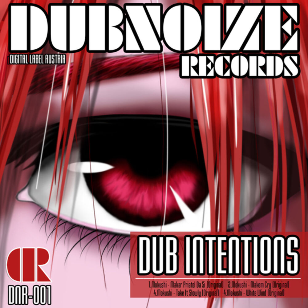 Picture of Dub Intentions