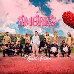Cover of Amores Como el Nuestro