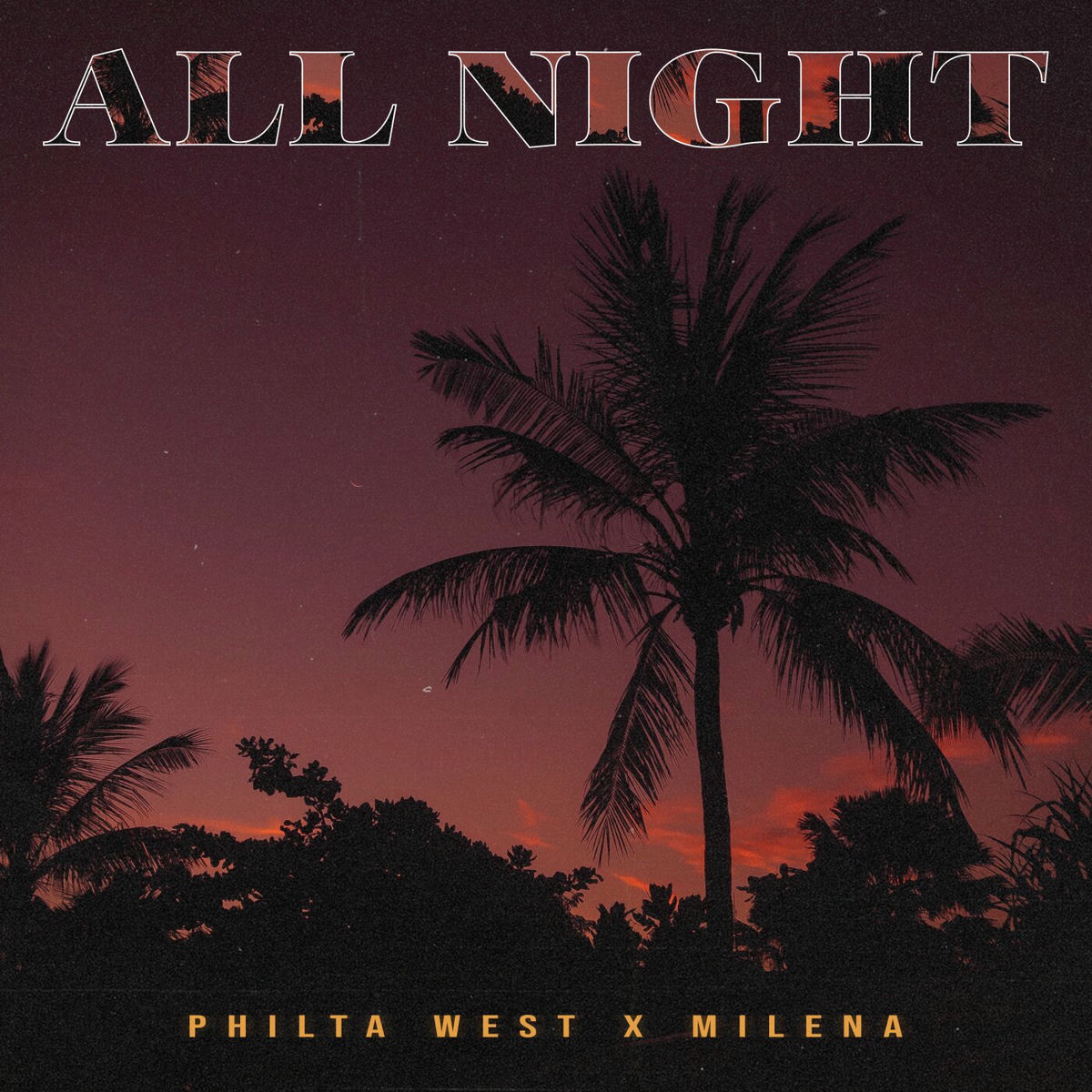 Album cover of All Night