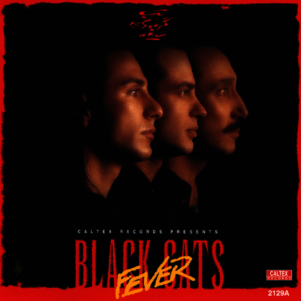 Picture of Black Cats Fever - Persian Music