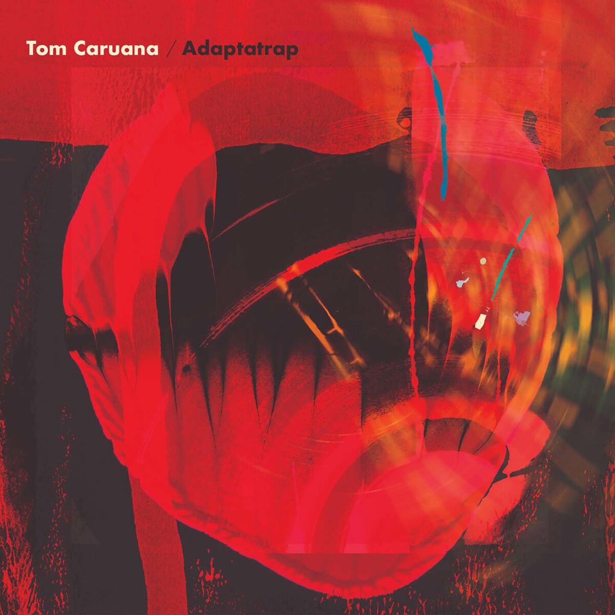 Album cover of Adaptatrap