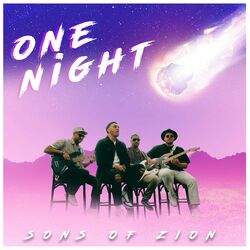 Cover of One Night