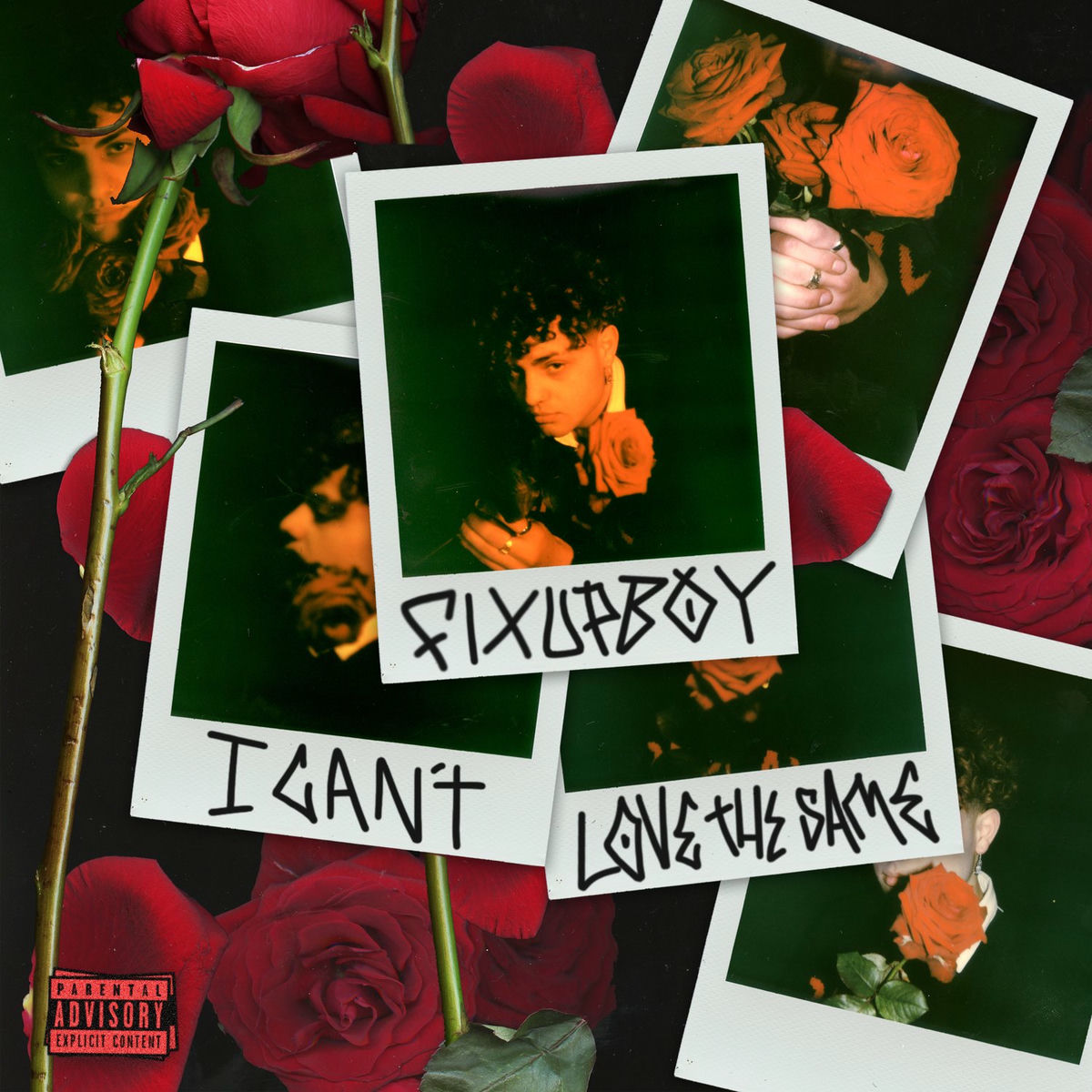 Album cover of I Can't Love the Same