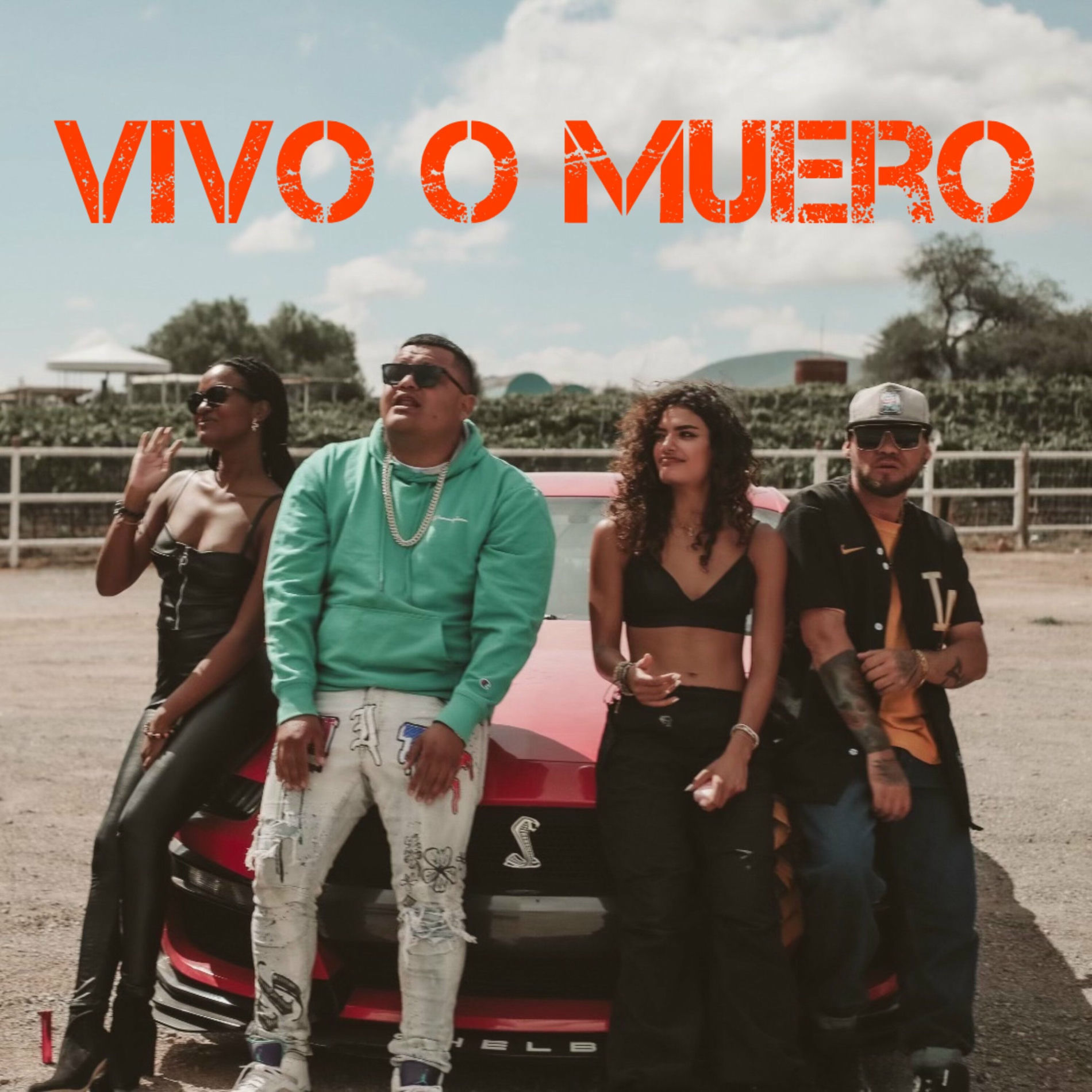 Album cover of Vivo o Muero