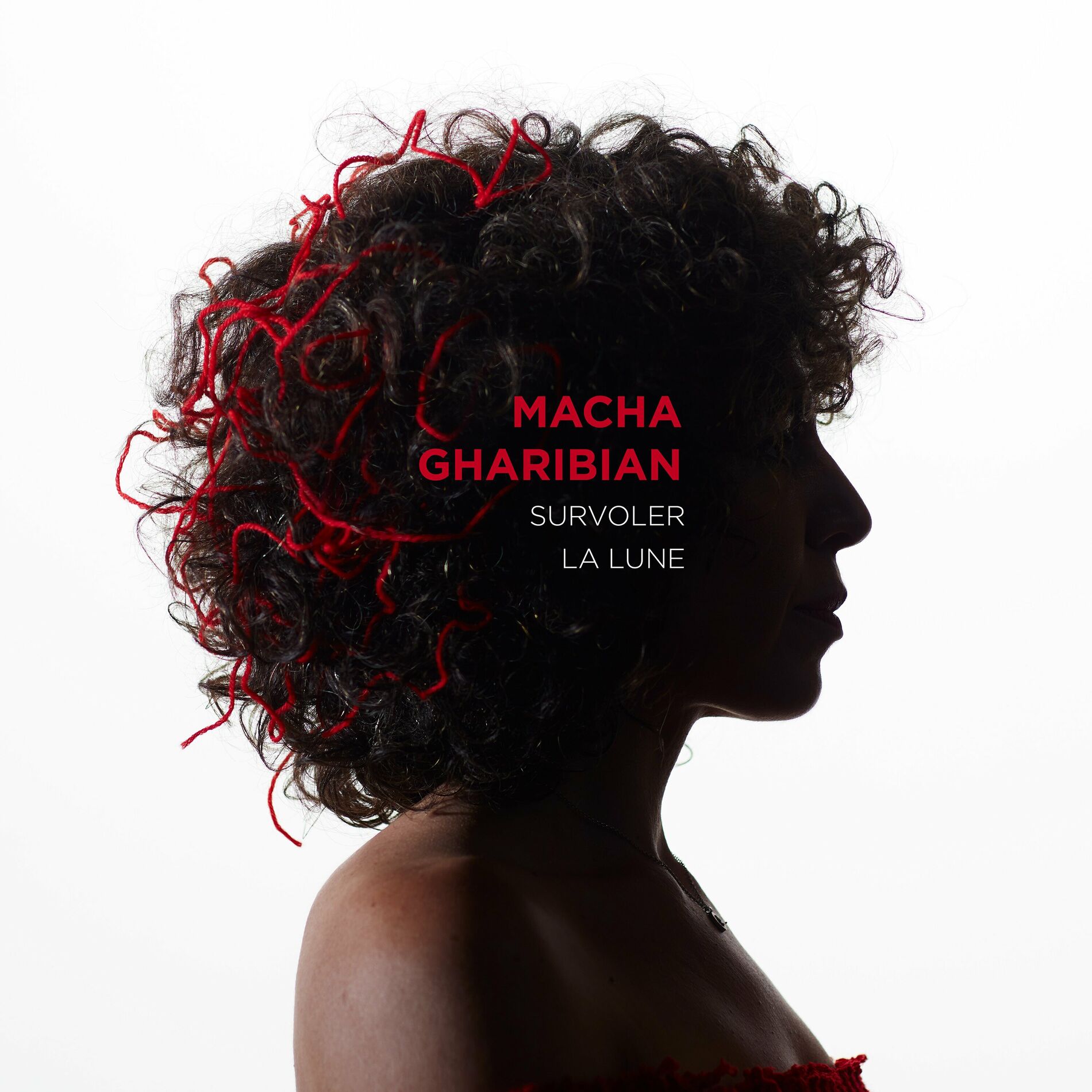 Album cover of Survoler La Lune