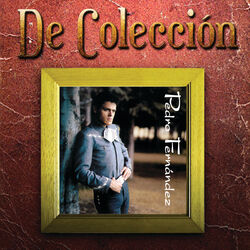 Cover of Pedro Fernández (De Colección)