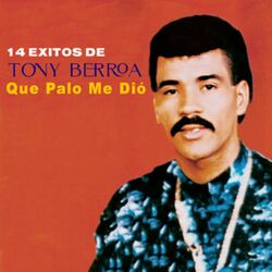 Cover of 14 Exitos, Que Palo Me Dio