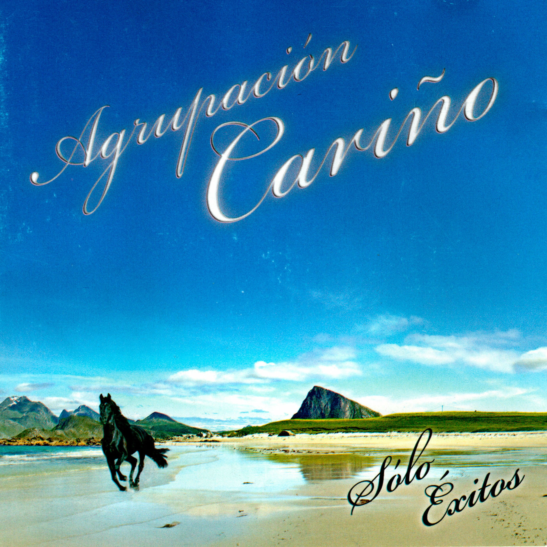 Album cover of Sólo Éxitos