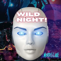 Cover of Wild Night!