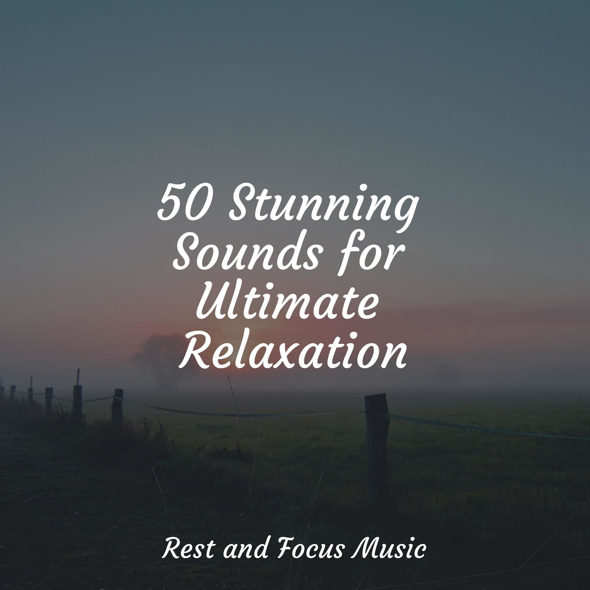 Album cover of 50 Stunning Sounds for Ultimate Relaxation
