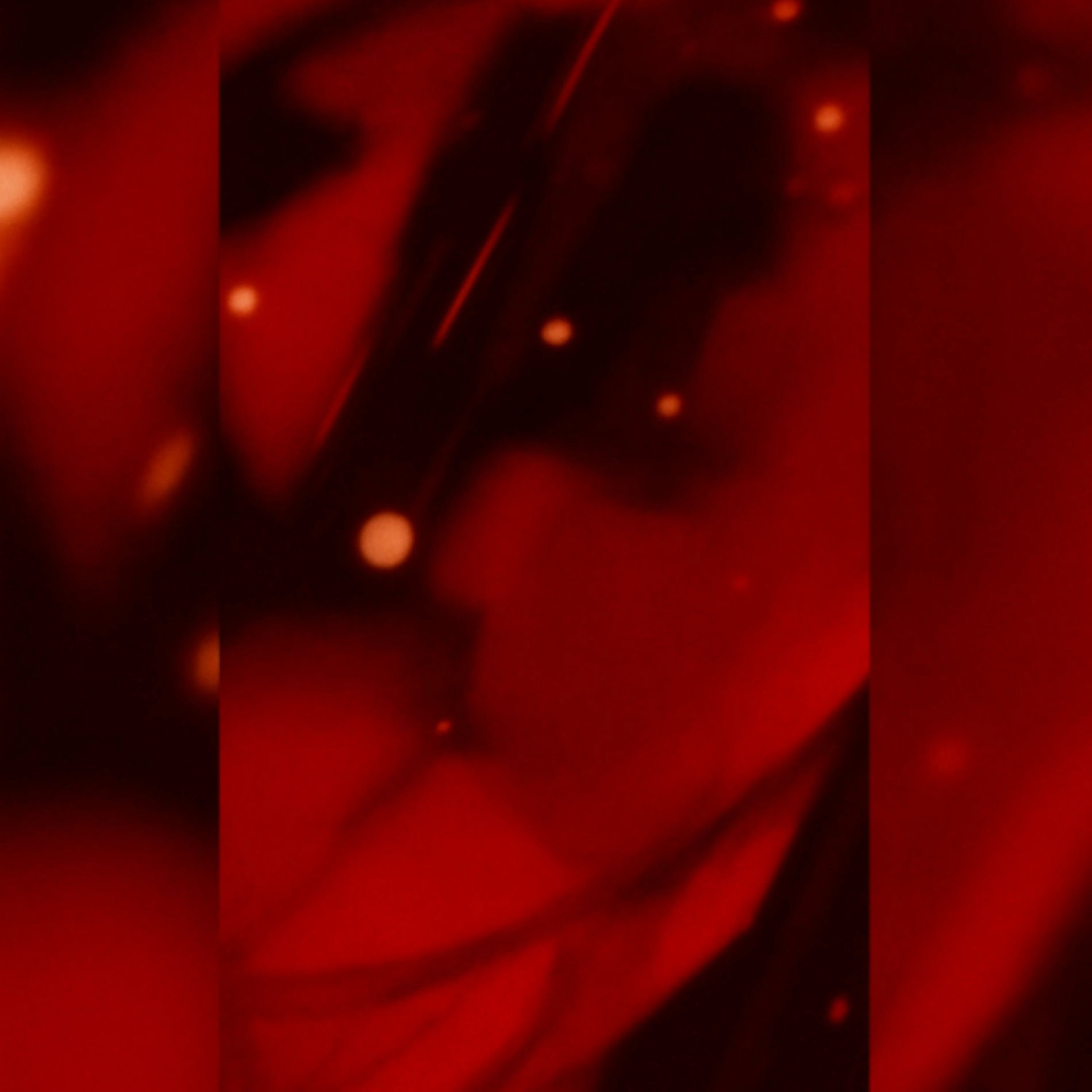 Album cover of A Face in Crowds (2025 new recording)