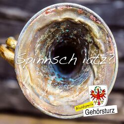 Cover of Spinnsch iatz?