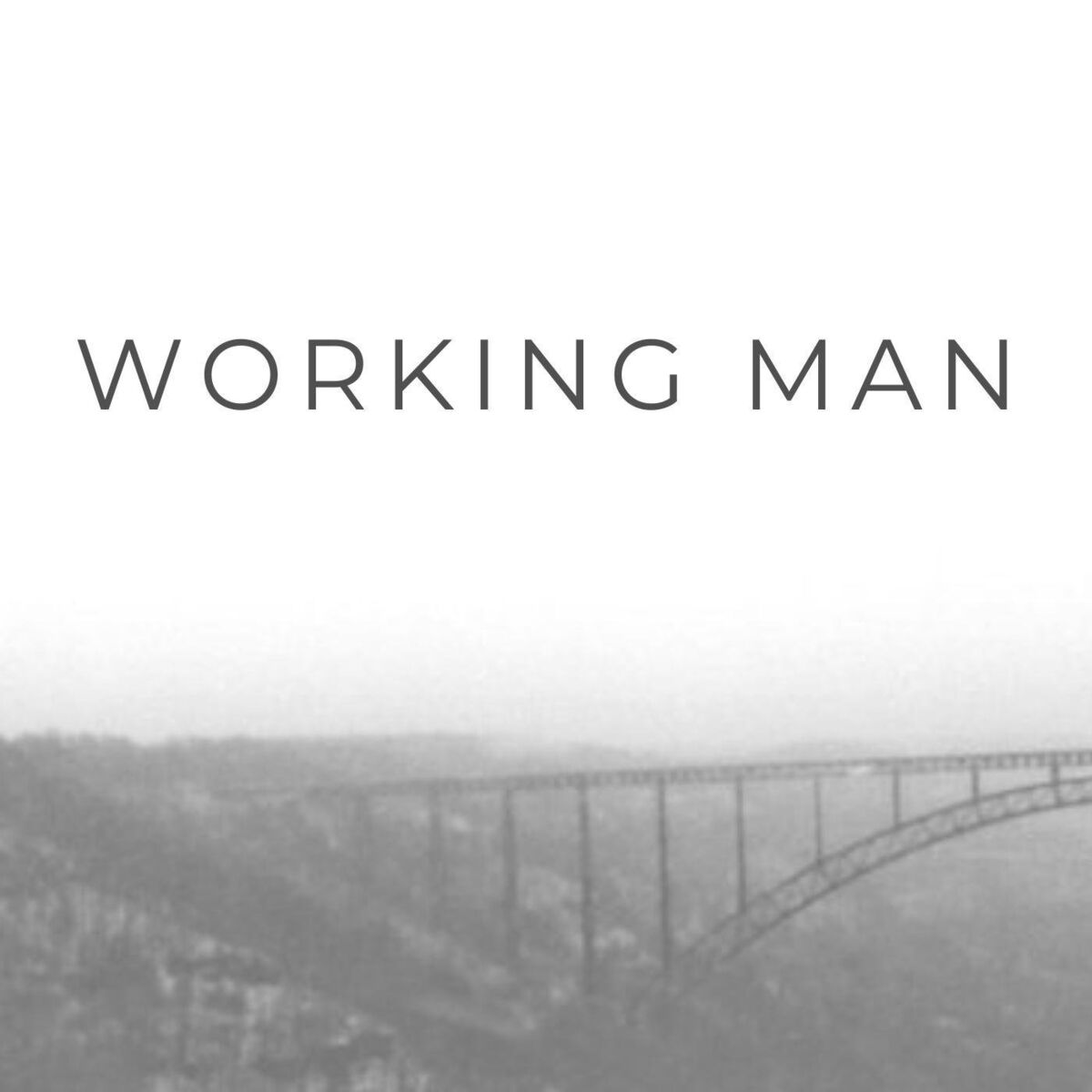 Album cover of Working Man